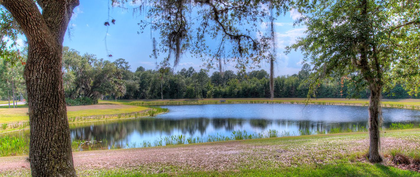 Photo of Live Oak Estates in Orlando, FL 32832