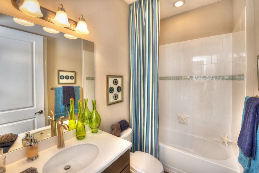 Photo of Serena in Jacksonville, FL 32246