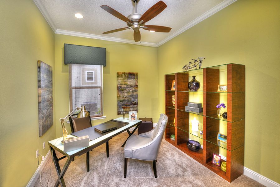 Photo of Serena in Jacksonville, FL 32246