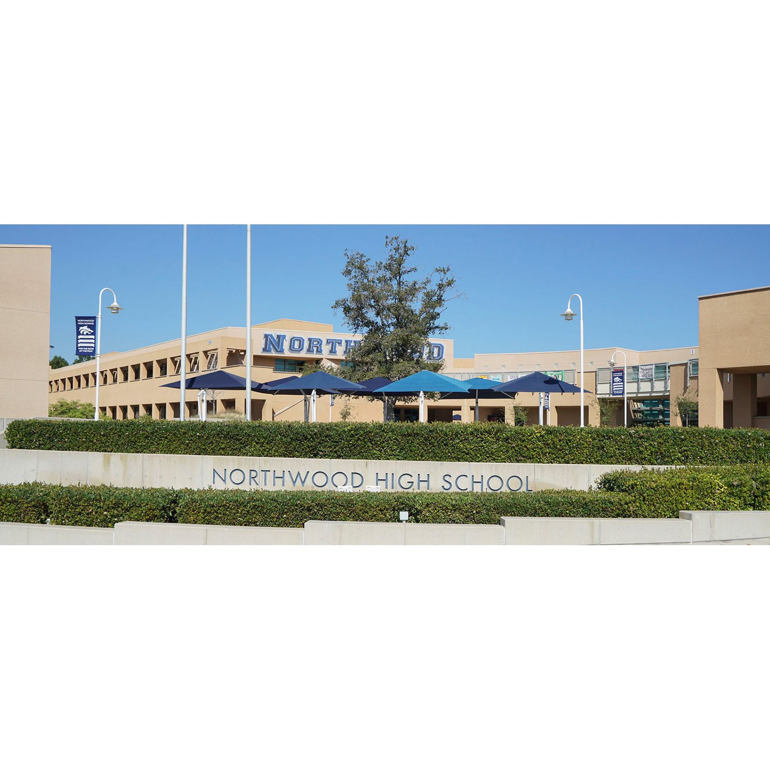 Photo of Vivo in Irvine, CA 92602