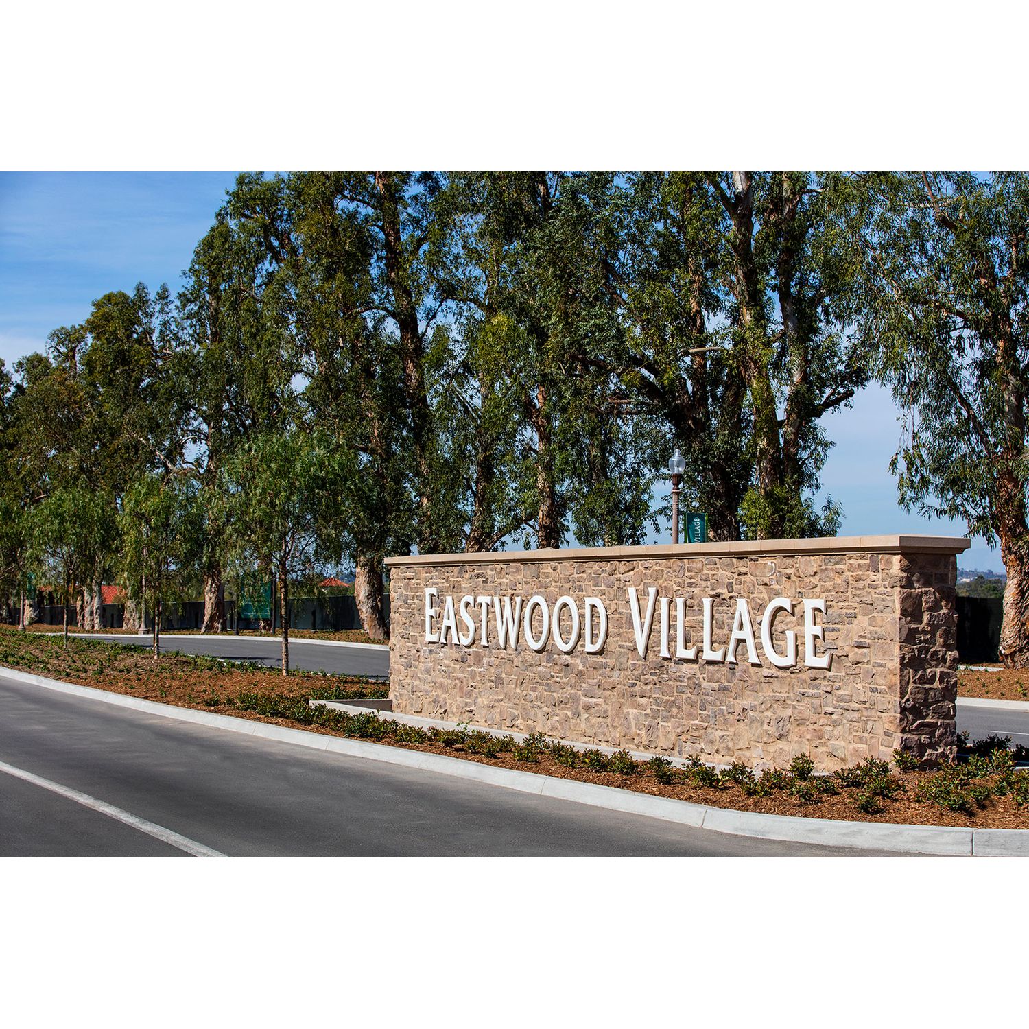 Photo of Marin in Irvine, CA 92620