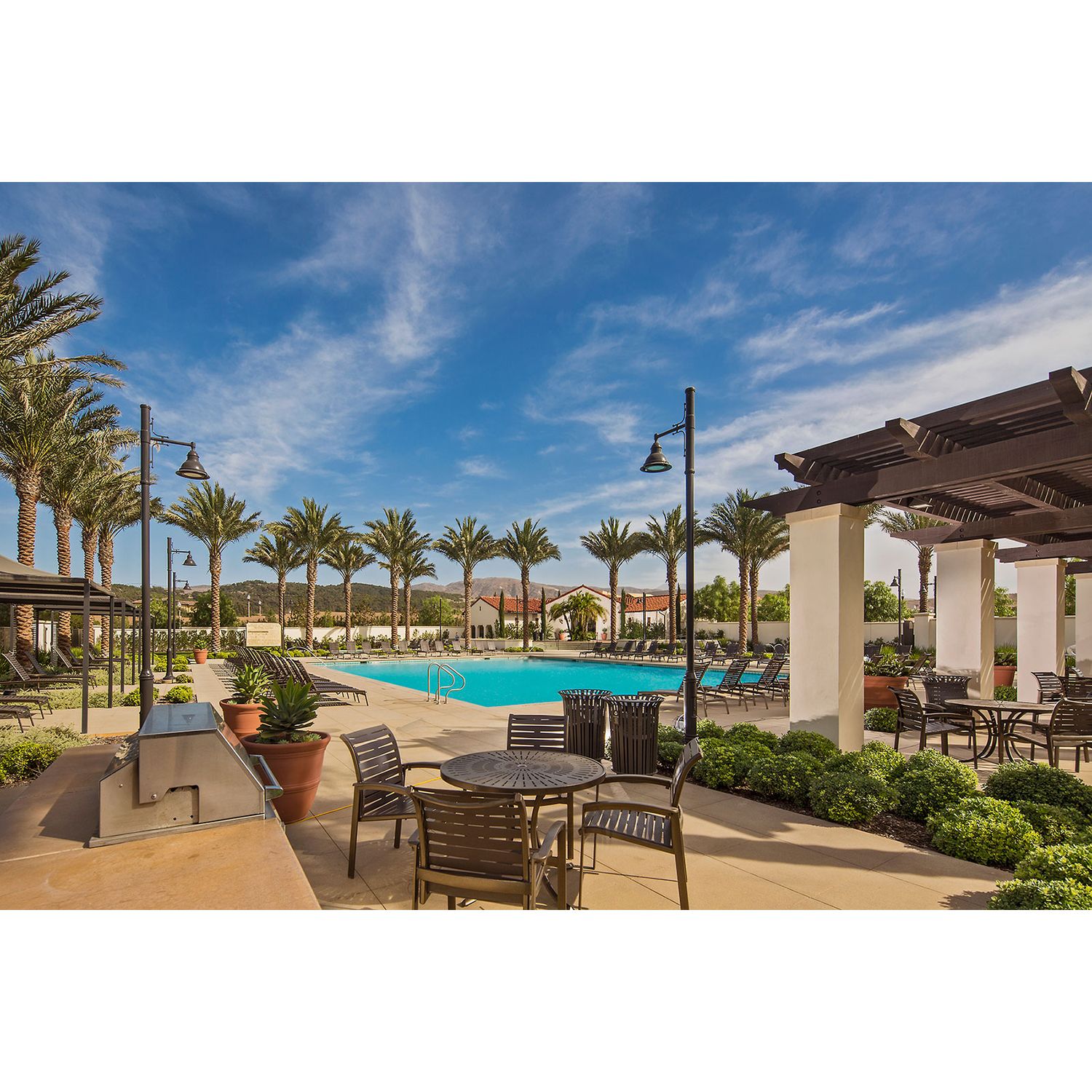Photo of Marin in Irvine, CA 92620