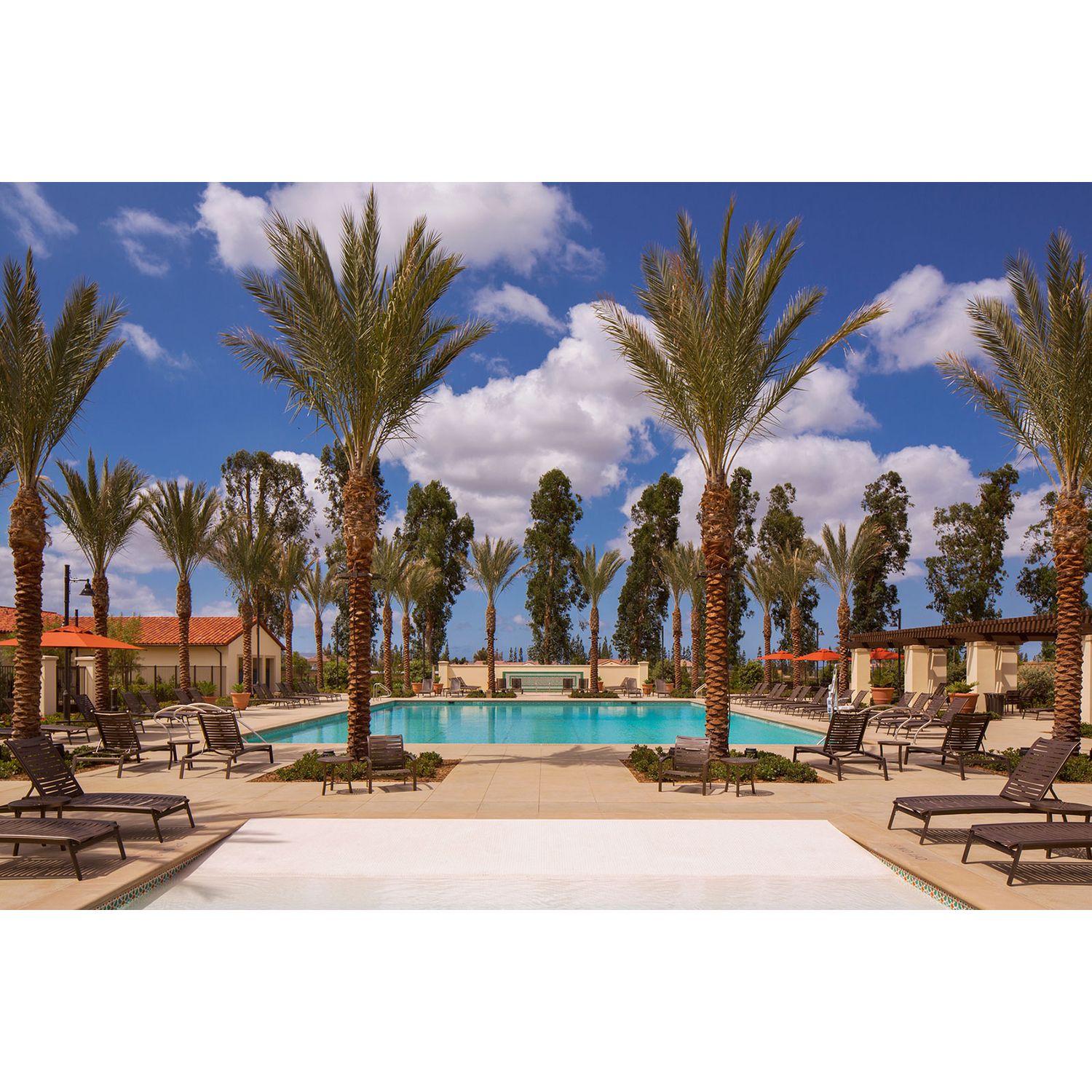 Photo of Marin in Irvine, CA 92620