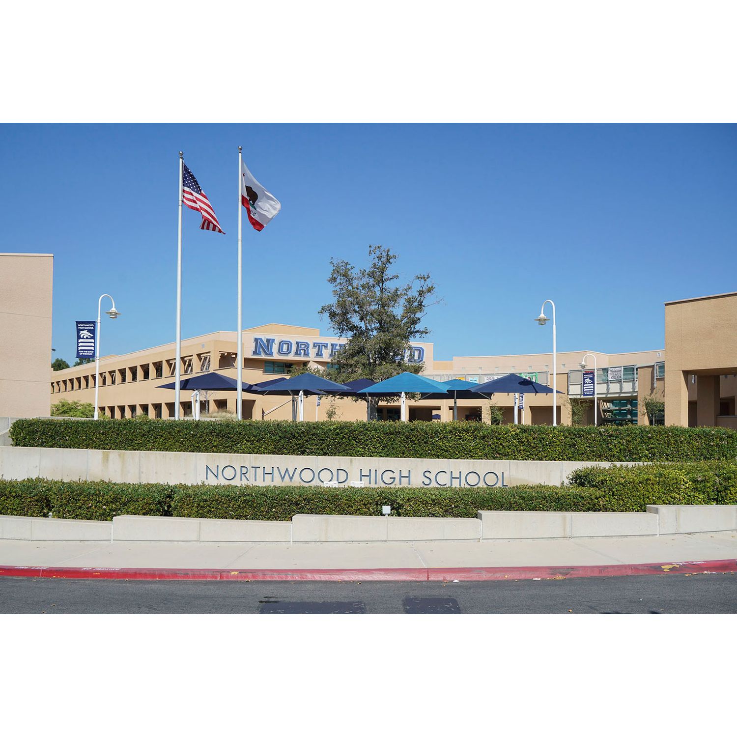 Photo of Marin in Irvine, CA 92620