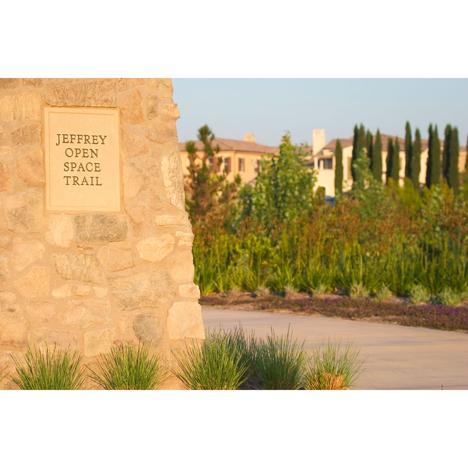 Photo of Marin in Irvine, CA 92620