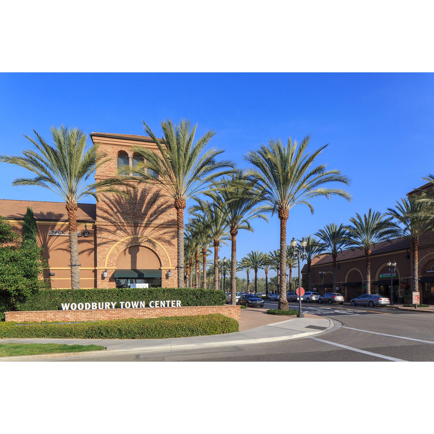 Photo of Marin in Irvine, CA 92620