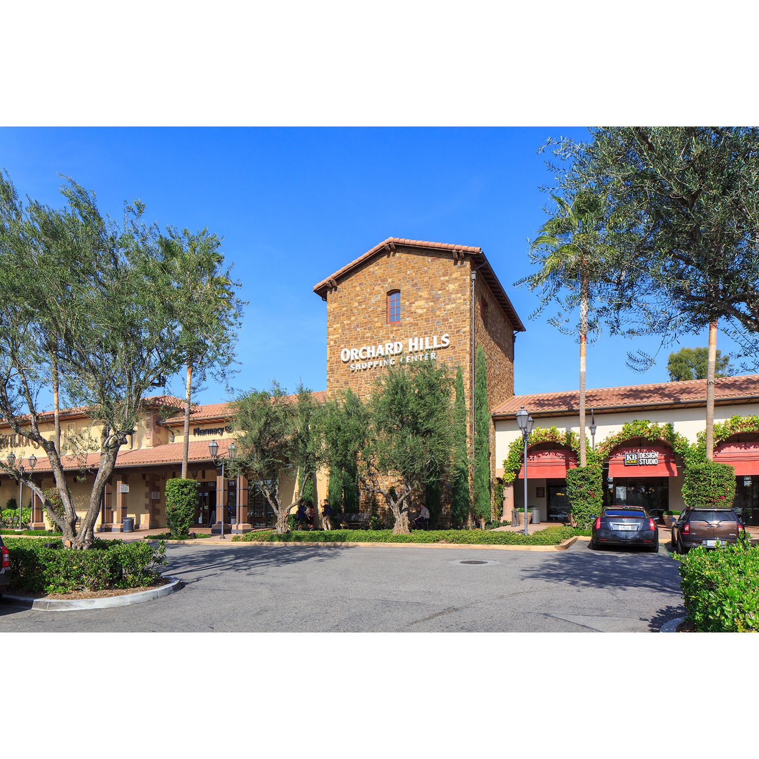 Photo of Marin in Irvine, CA 92620