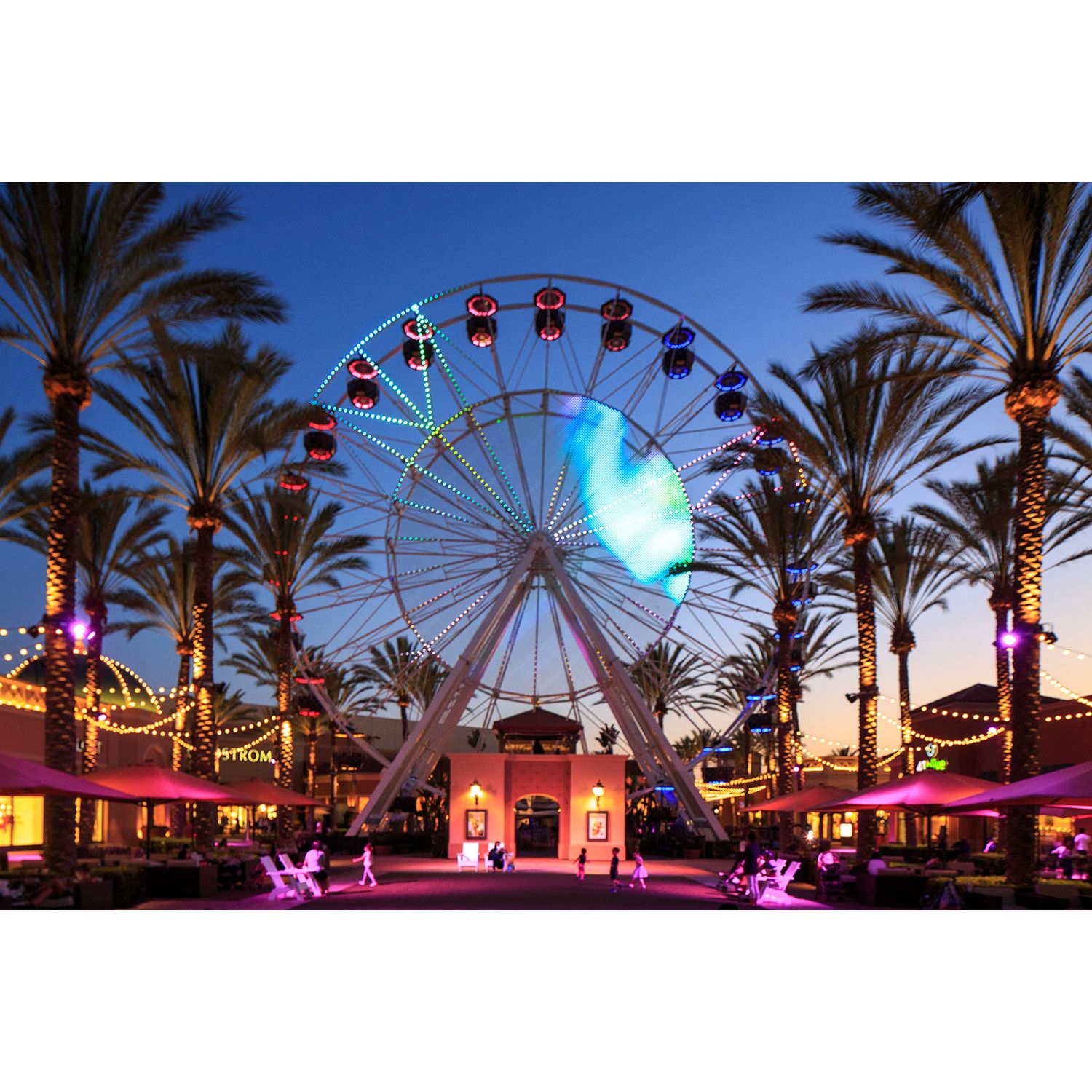 Photo of Marin in Irvine, CA 92620