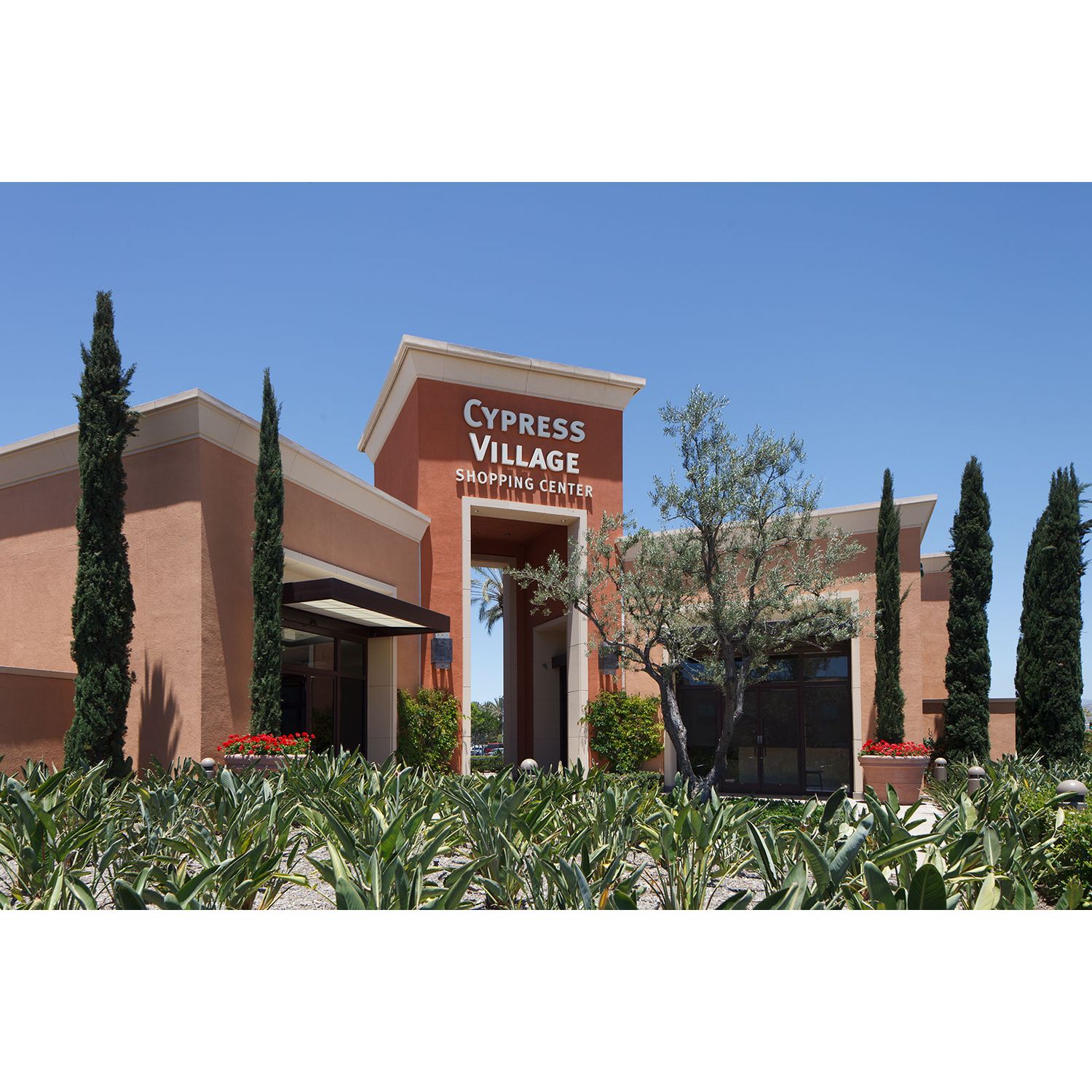 Photo of Marin in Irvine, CA 92620