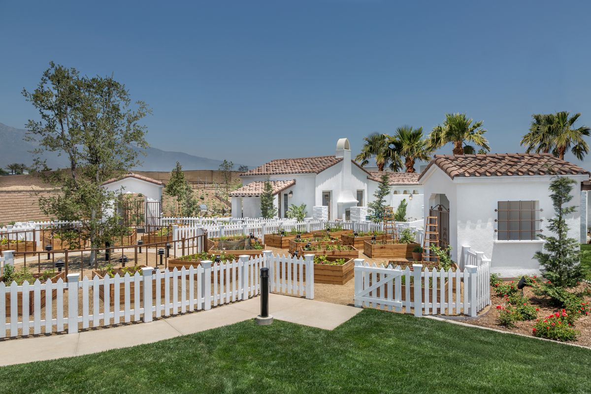 Photo of Springtime at Harvest in Upland, CA 91786