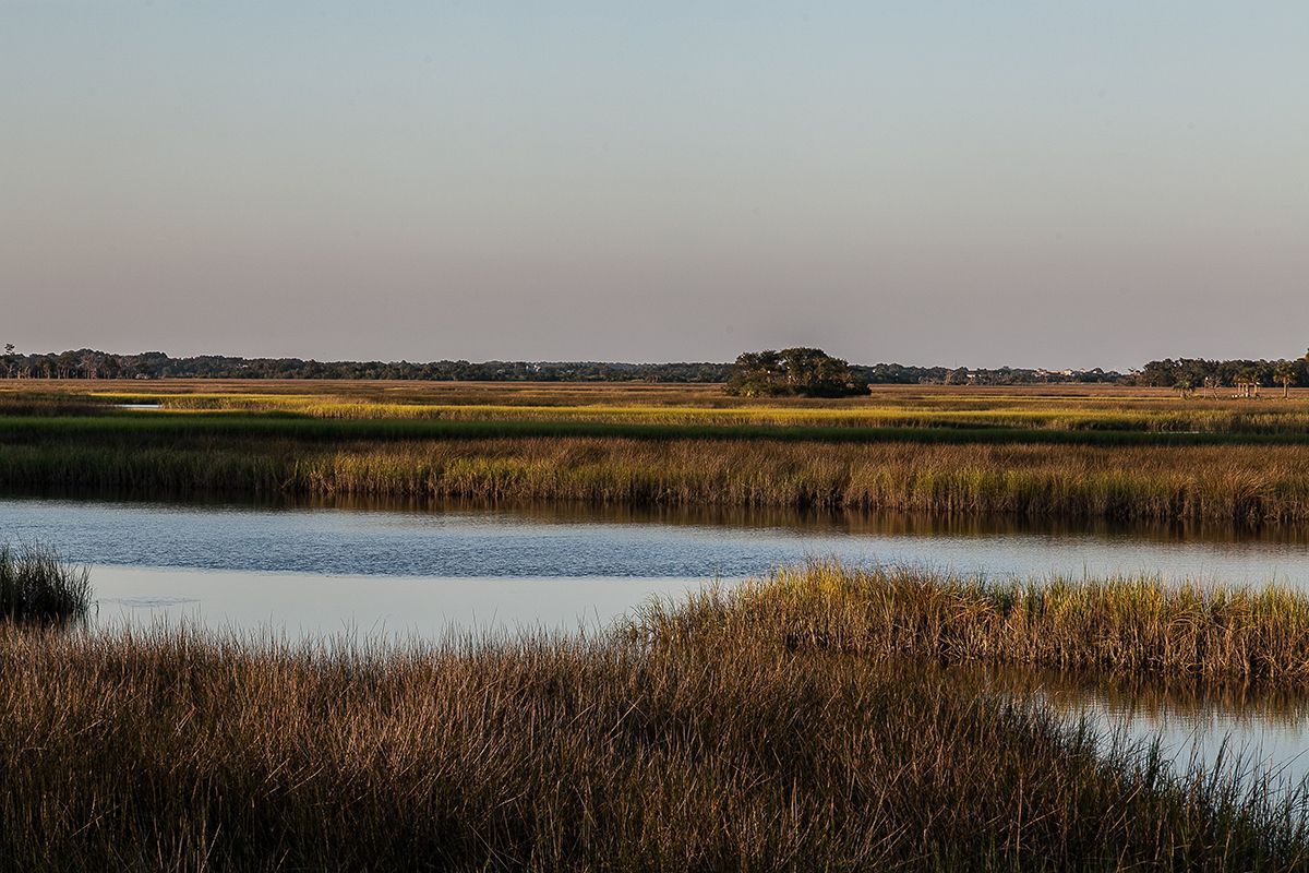 Photo of Egrets Cove in Jacksonville, FL 32225