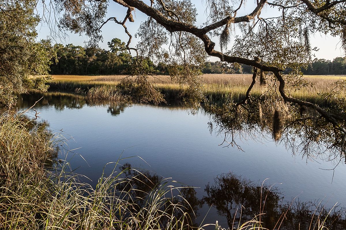 Photo of Egrets Cove in Jacksonville, FL 32225