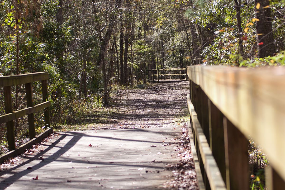 Photo of Bartram Creek in Jacksonville, FL 32259