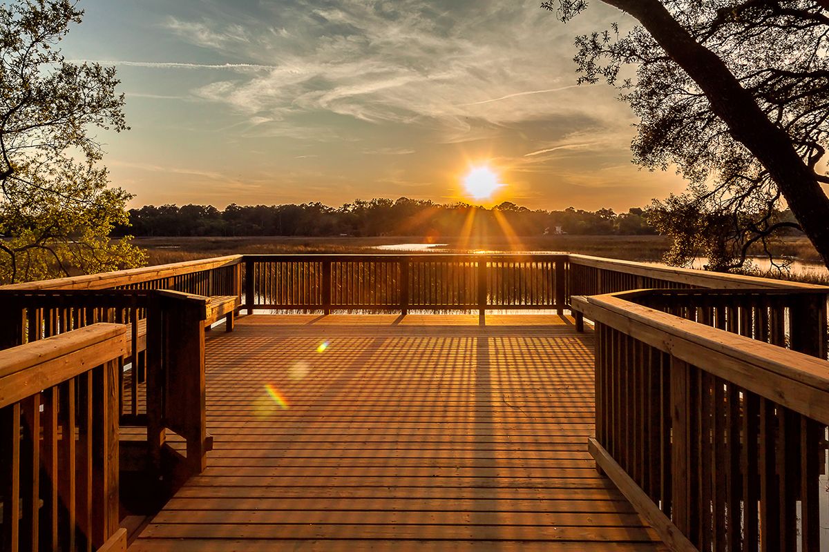 Photo of Egrets Cove in Jacksonville, FL 32225