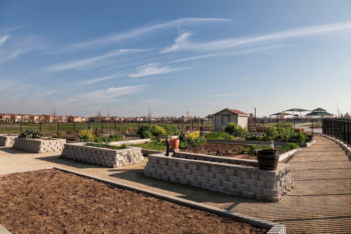 Photo of Montauk at The Hamptons in Sacramento, CA 95835