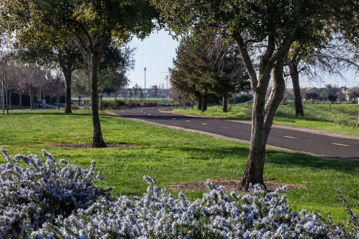 Photo of Montauk at The Hamptons in Sacramento, CA 95835