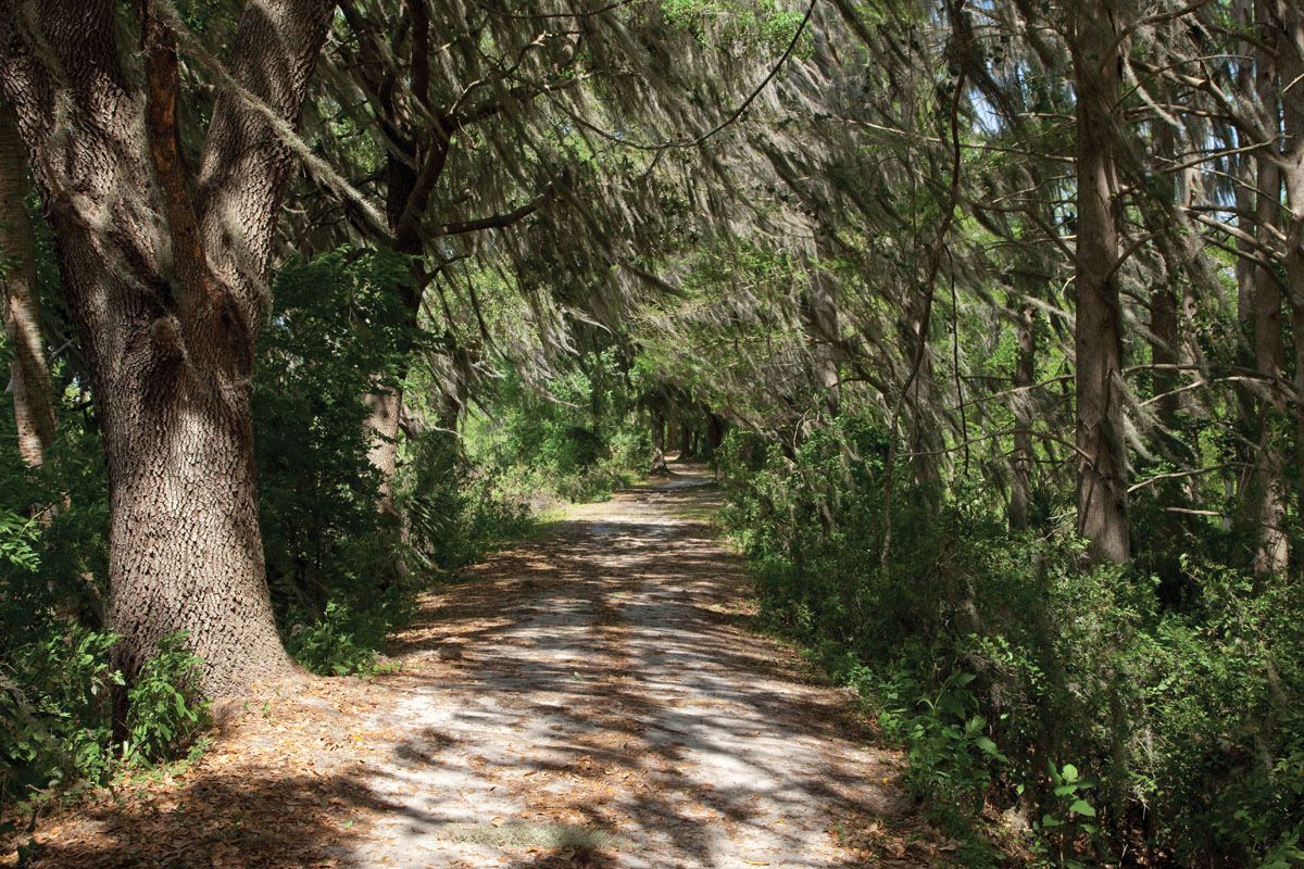 Photo of Shingle Creek Reserve II in Kissimmee, FL 34746