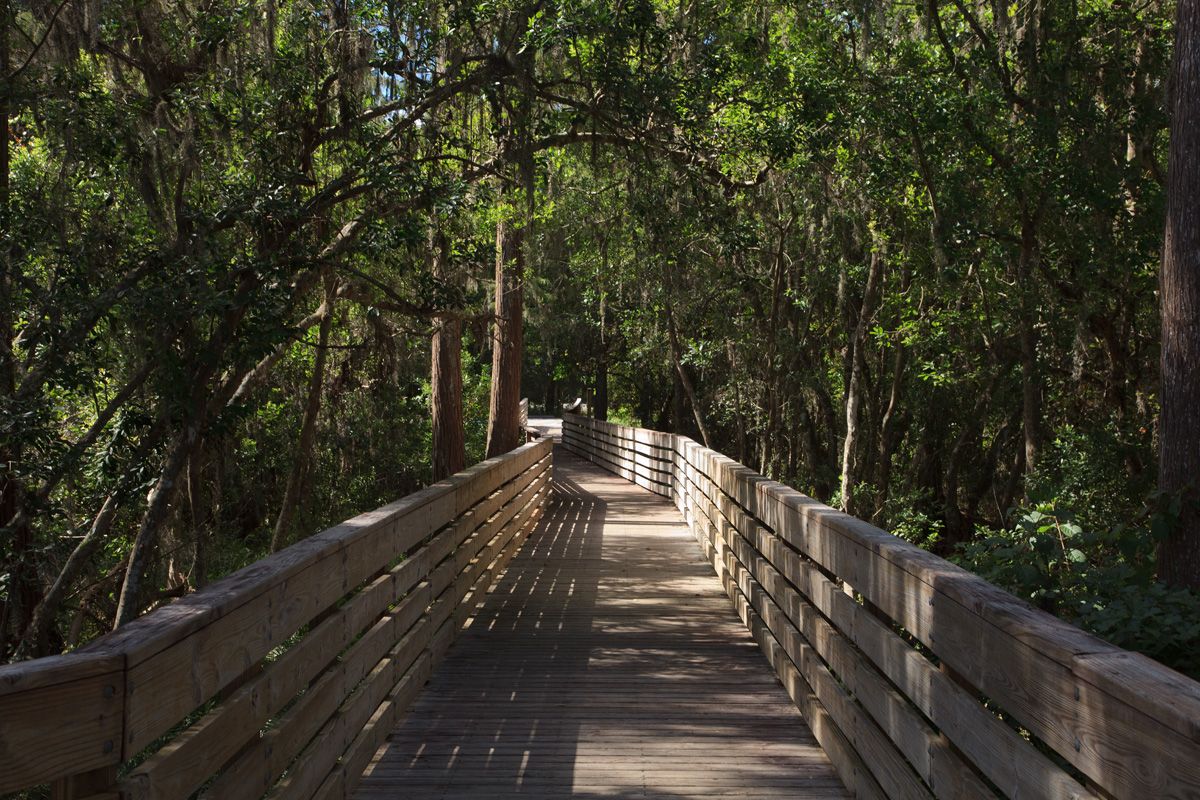 Photo of Overlook at Vista Grande in Clermont, FL 34711