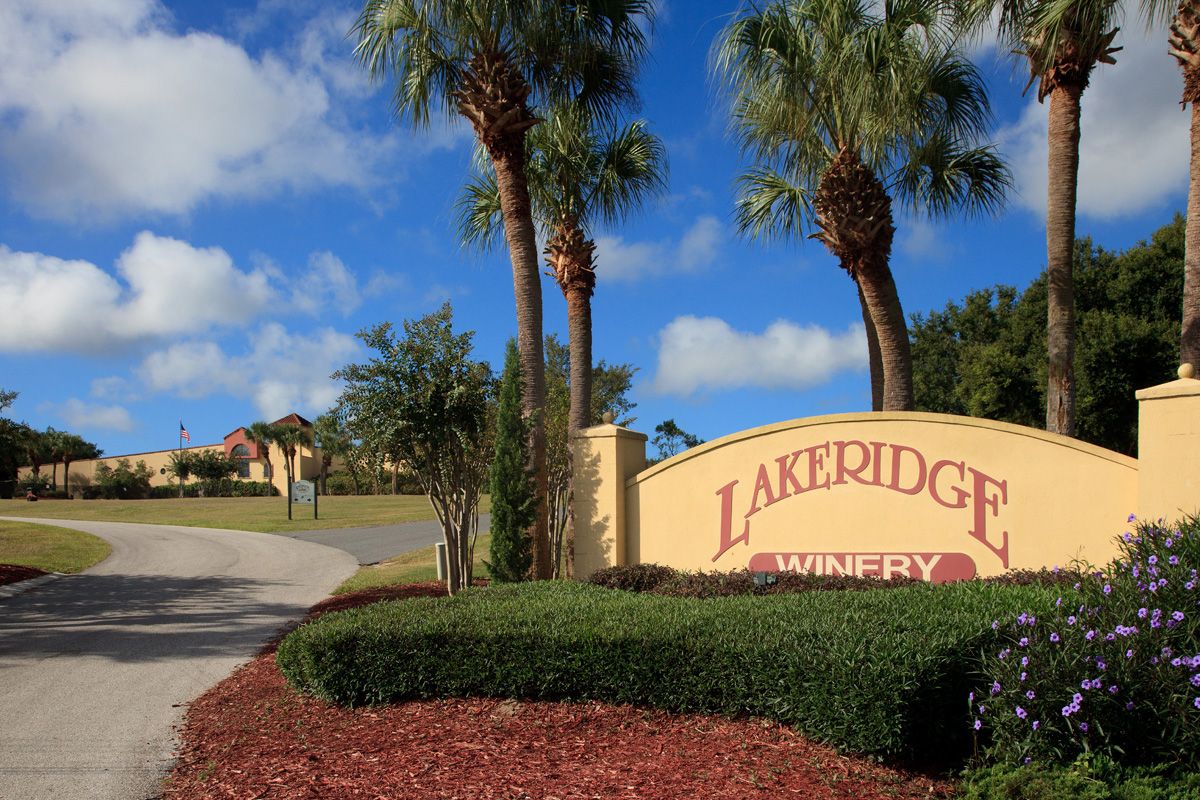 Photo of Overlook at Vista Grande in Clermont, FL 34711