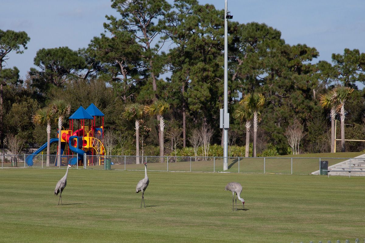 Photo of Gramercy Farms in Saint Cloud, FL 34772