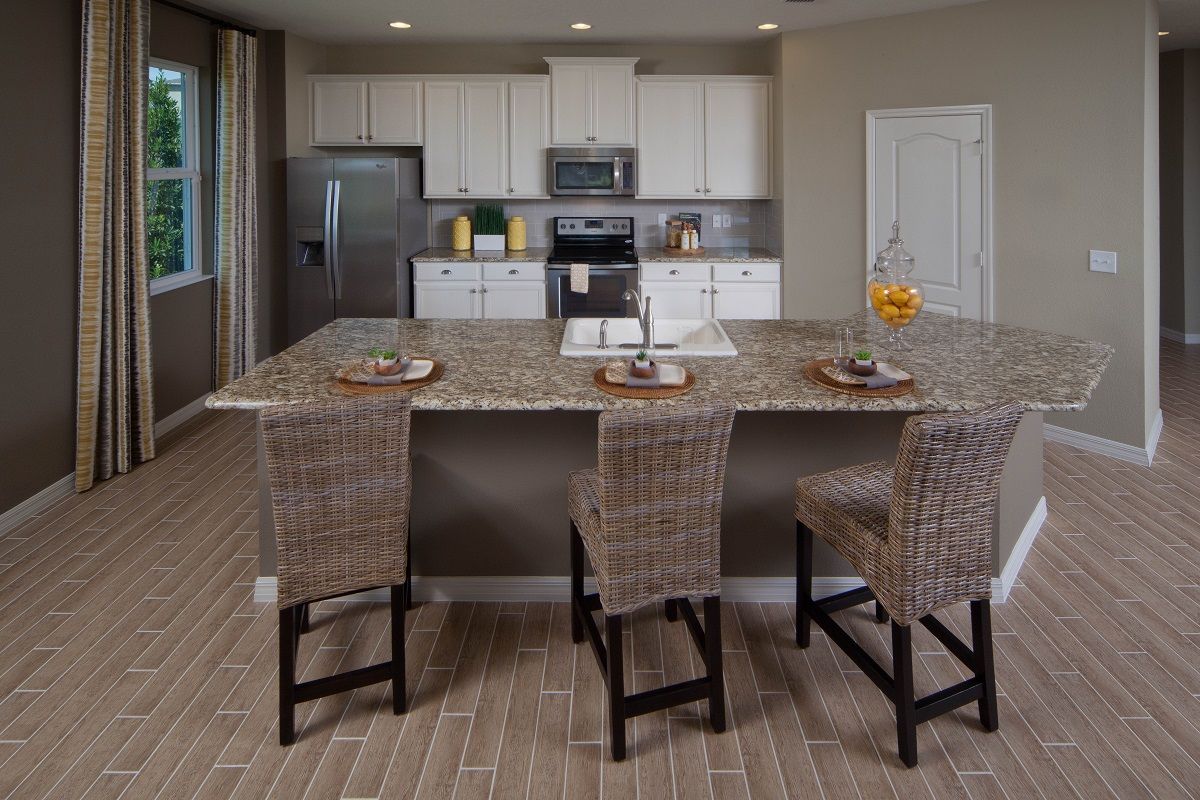 Photo of Overlook at Vista Grande in Clermont, FL 34711