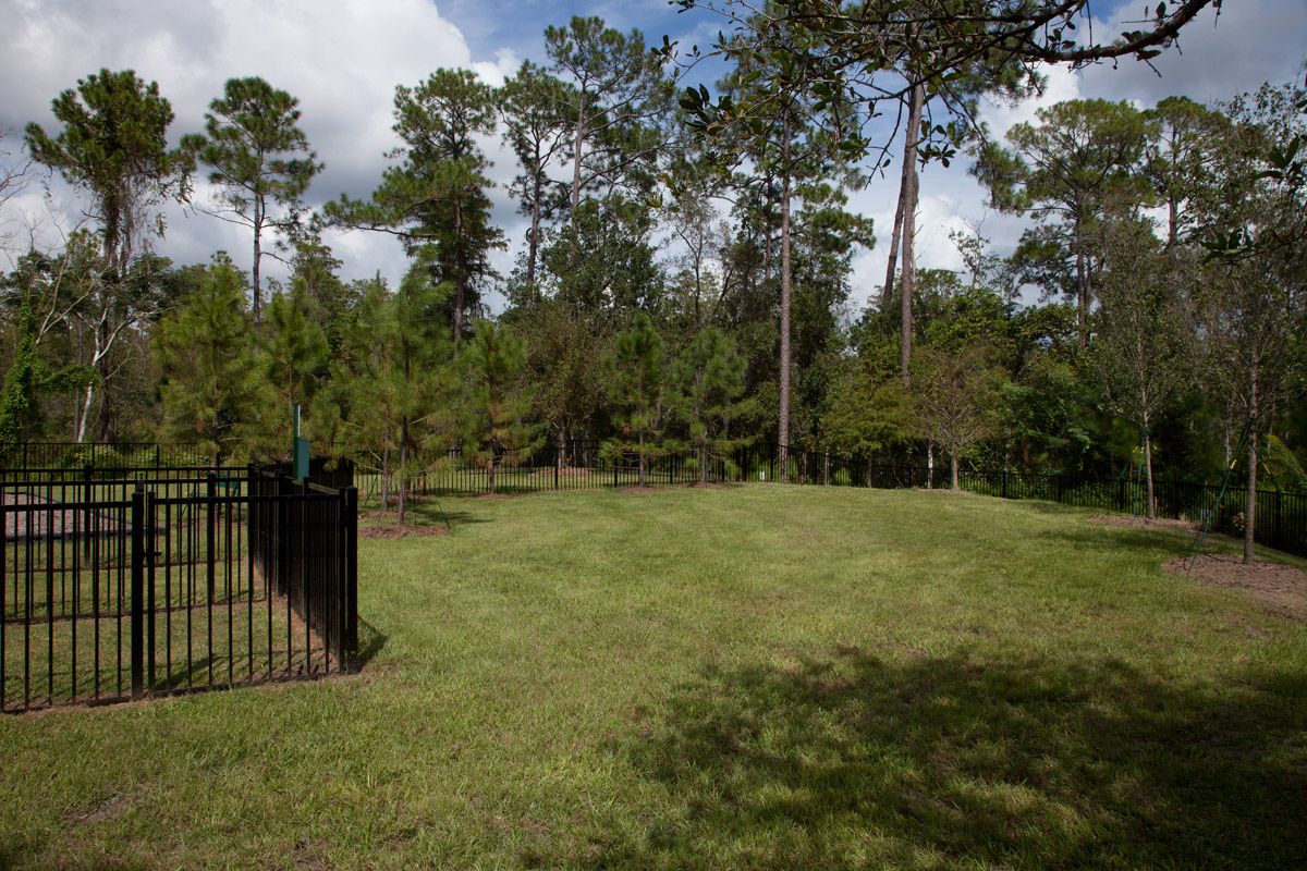 Photo of Lake Hancock Preserve II in Winter Garden, FL 34787