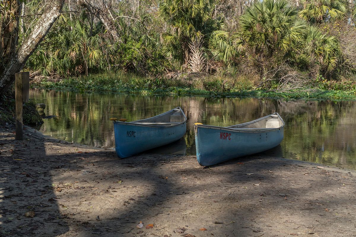Photo of Carriage Hill in Apopka, FL 32712