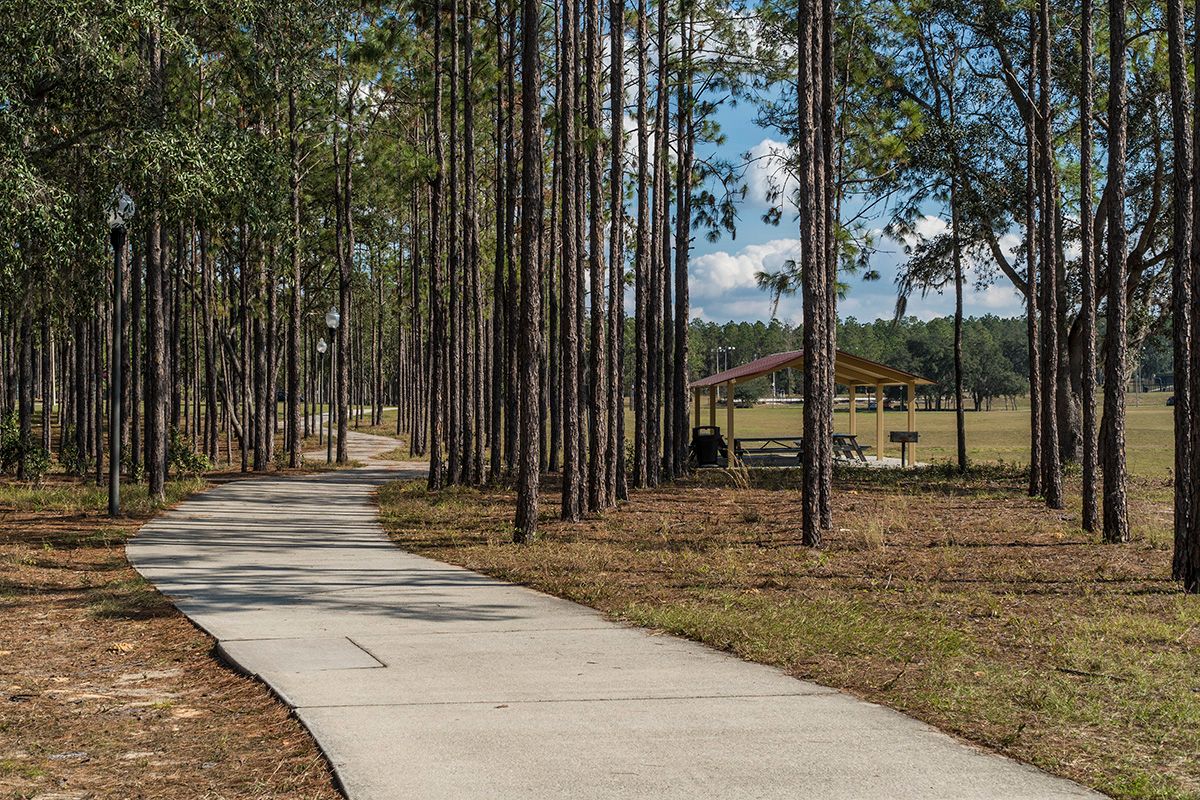 Photo of Carriage Hill in Apopka, FL 32712