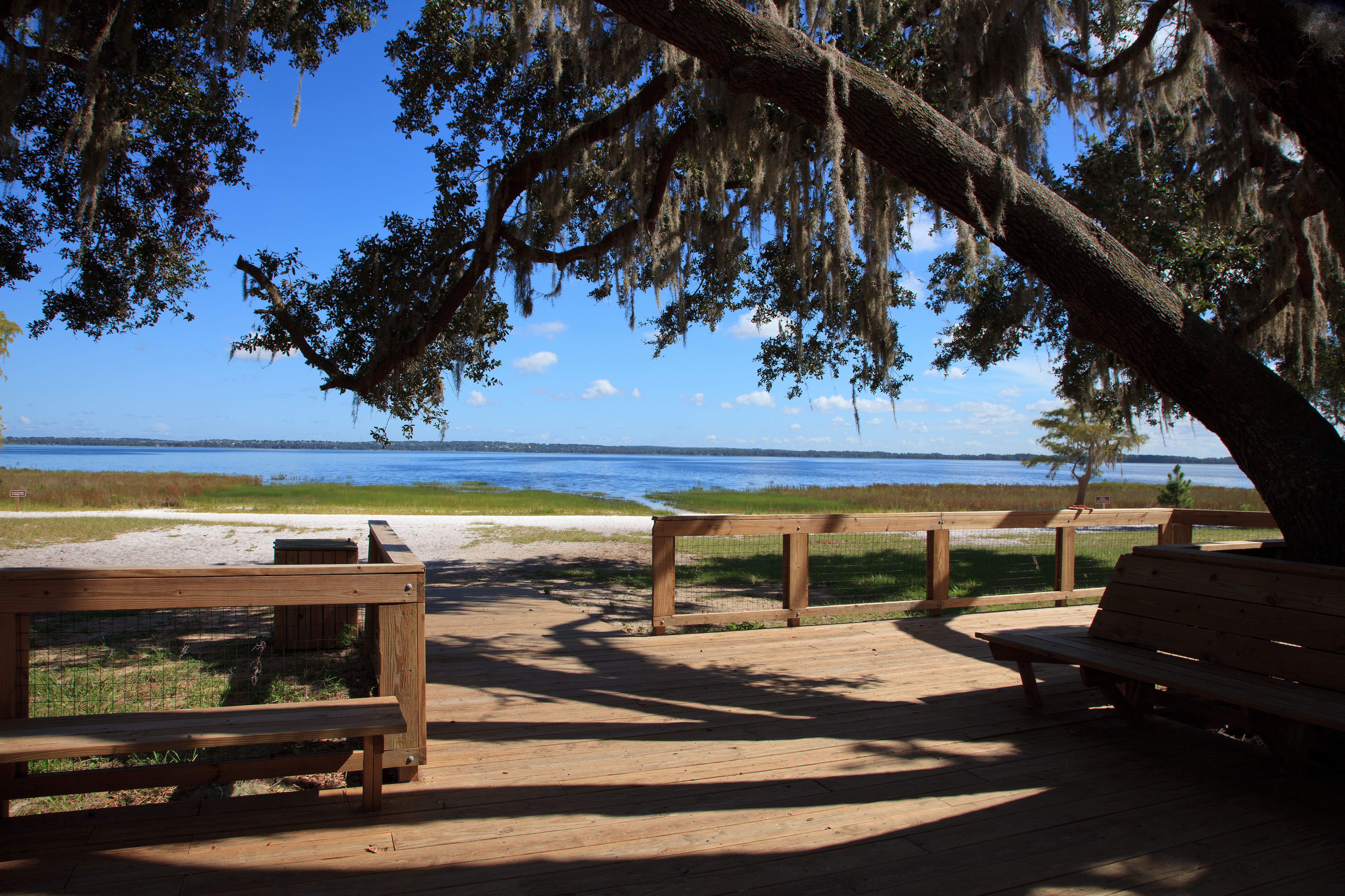 Photo of Magnolia at Westside in Davenport, FL 33897