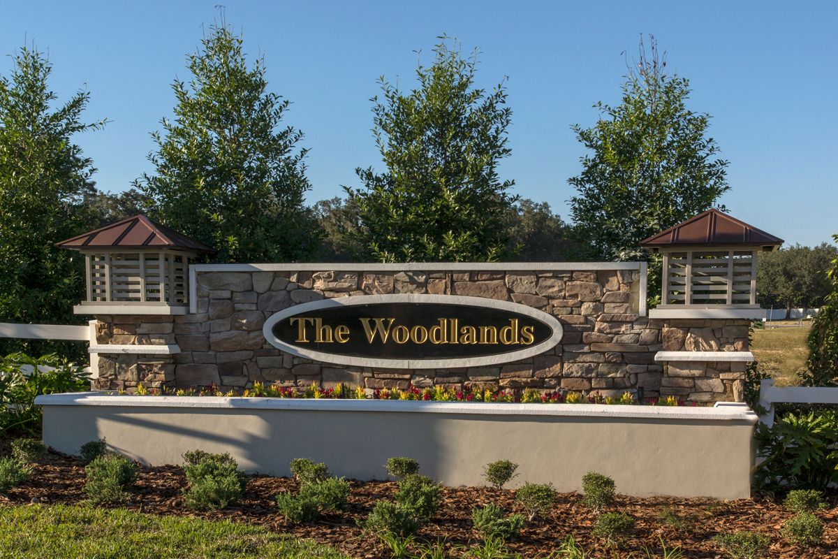 Photo of The Woodlands in Land O Lakes, FL 34639