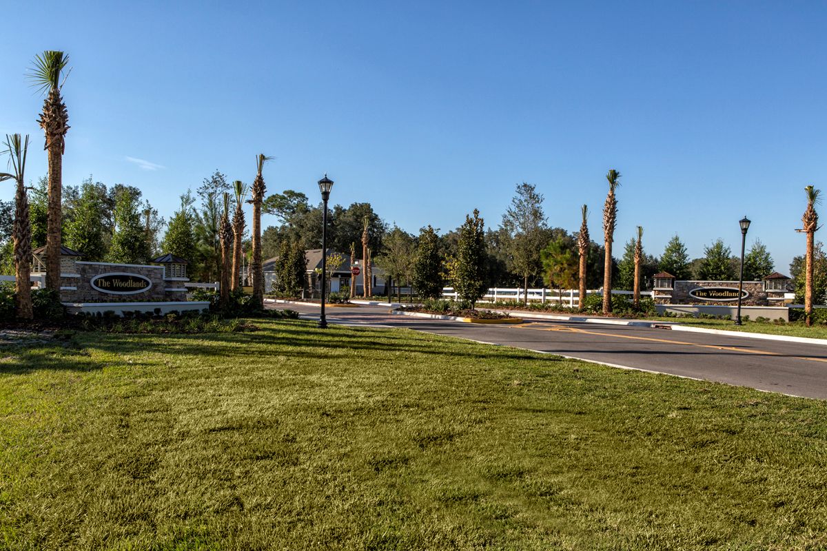 Photo of The Woodlands in Land O Lakes, FL 34639
