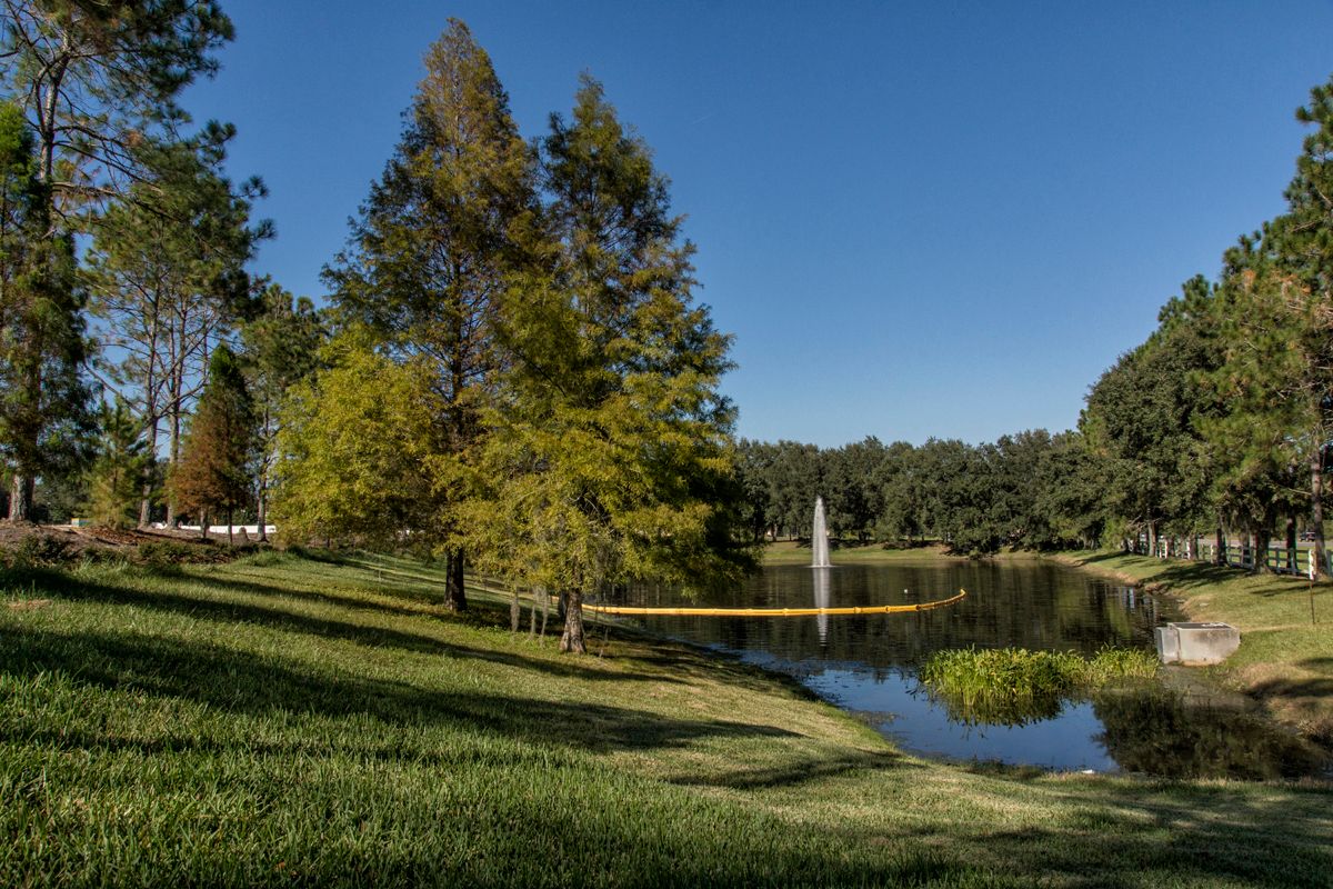 Photo of The Woodlands in Land O Lakes, FL 34639