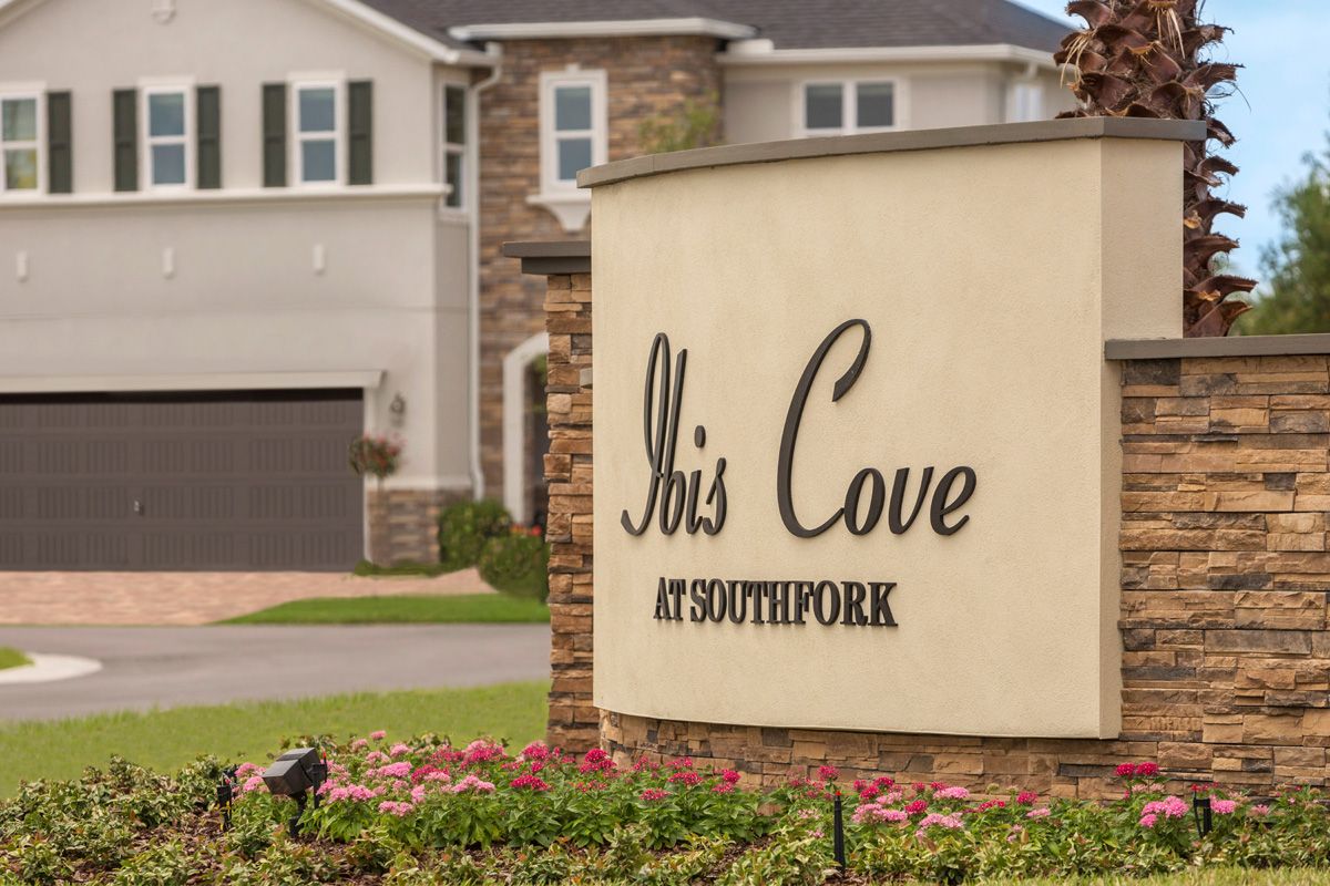 Photo of Ibis Cove I at South Fork in Riverview, FL 33579