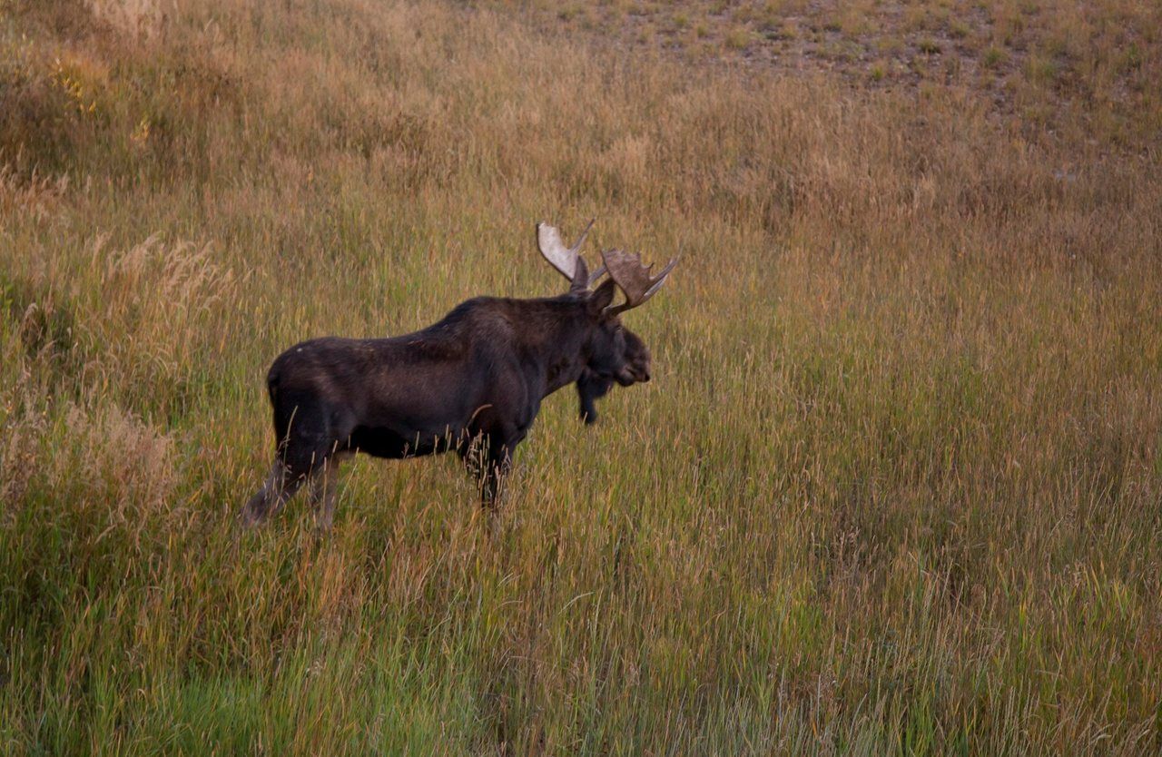 Photo of Rendezvous Colorado in Winter Park, CO 80482