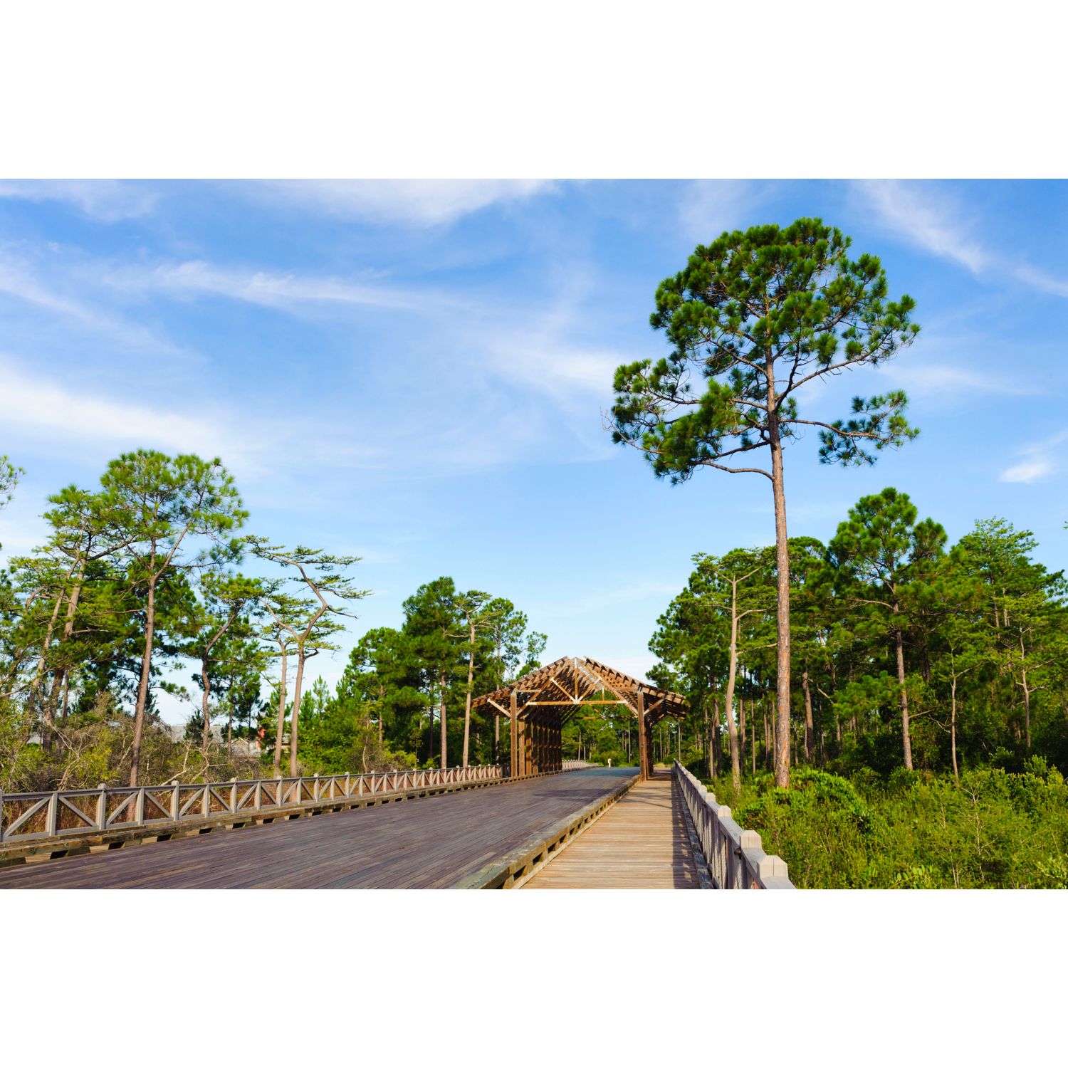 Photo of NatureWalk in Santa Rosa Beach, FL 32459