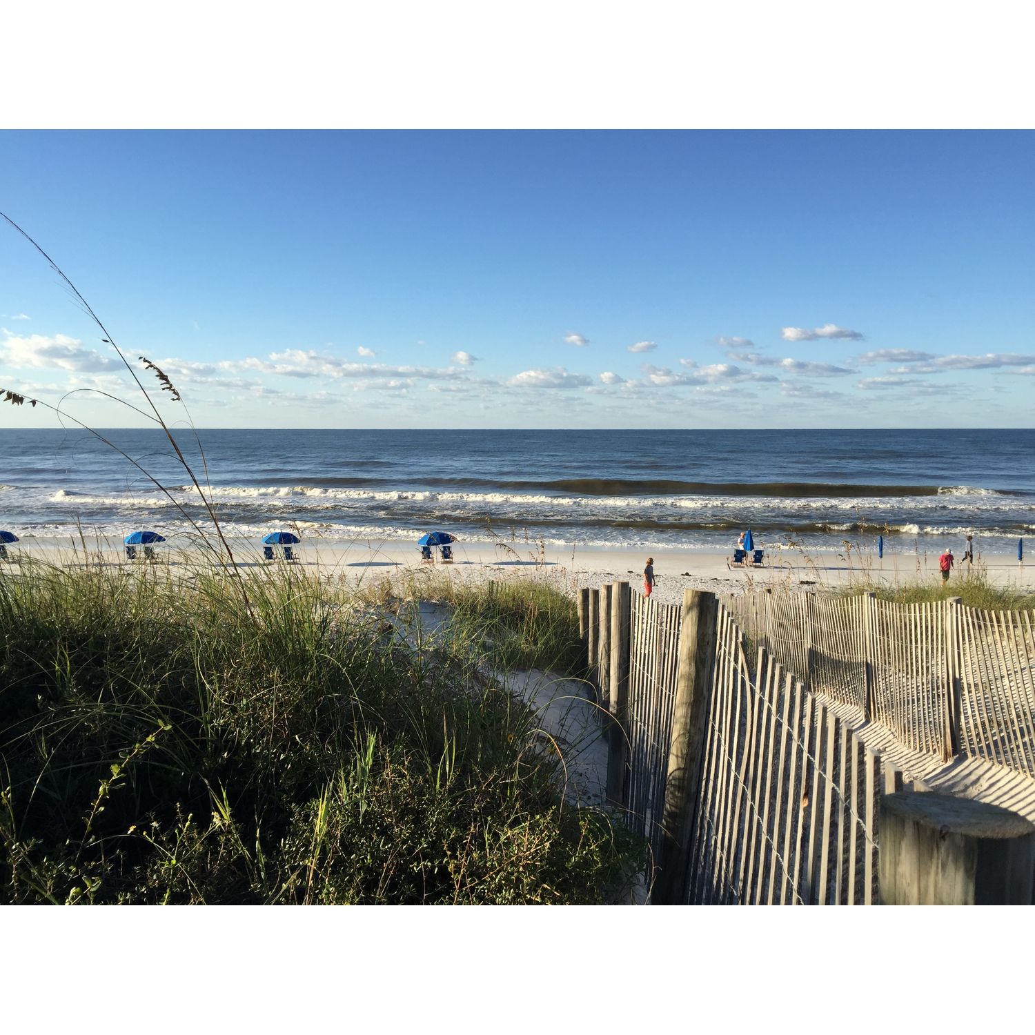 Photo of NatureWalk in Santa Rosa Beach, FL 32459