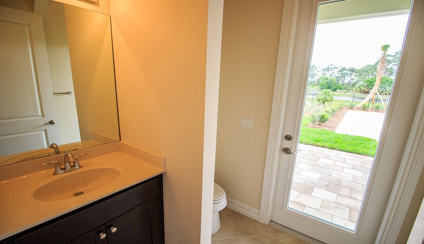 Photo of Oak in Palm City, FL 34990