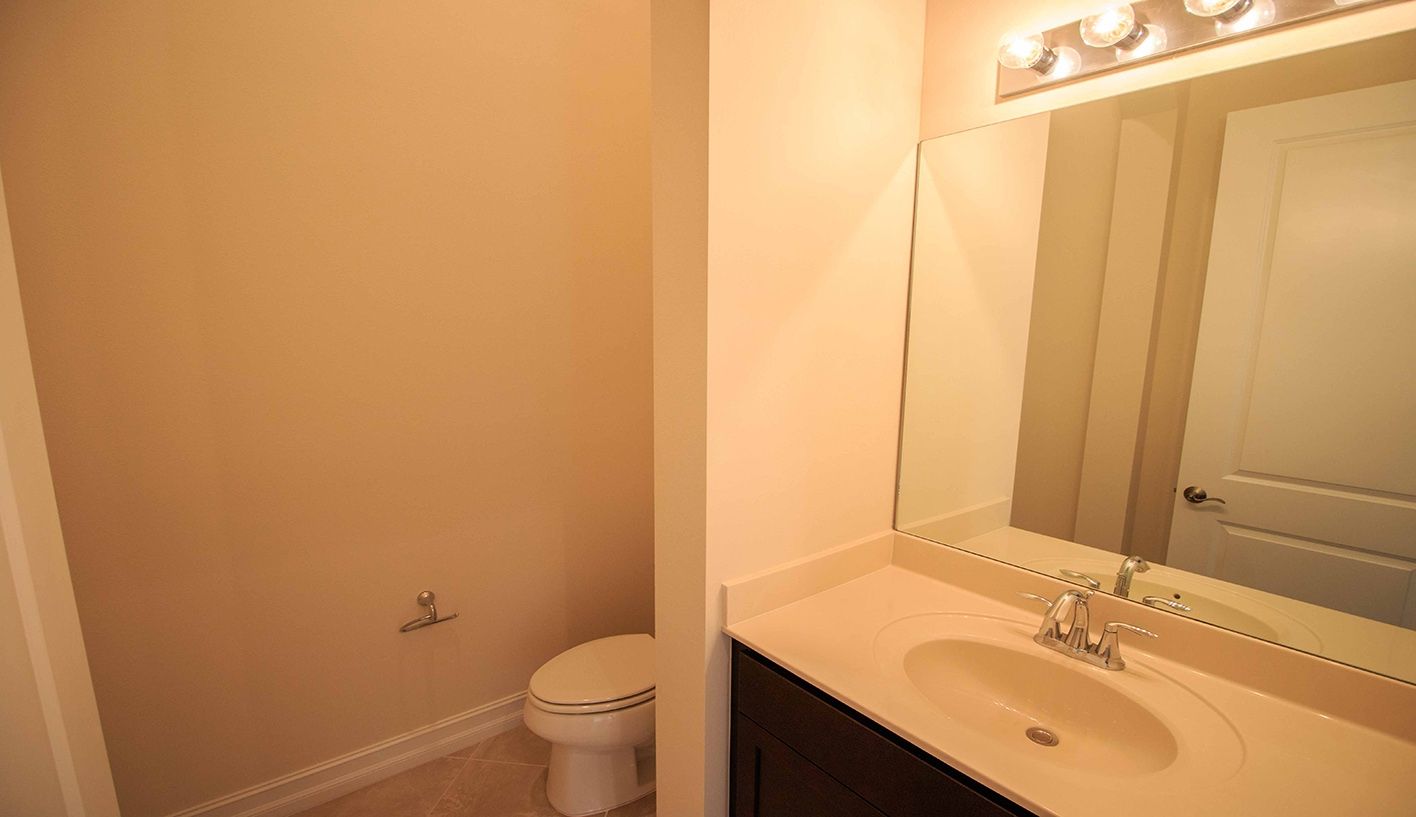 Photo of Oak in Palm City, FL 34990
