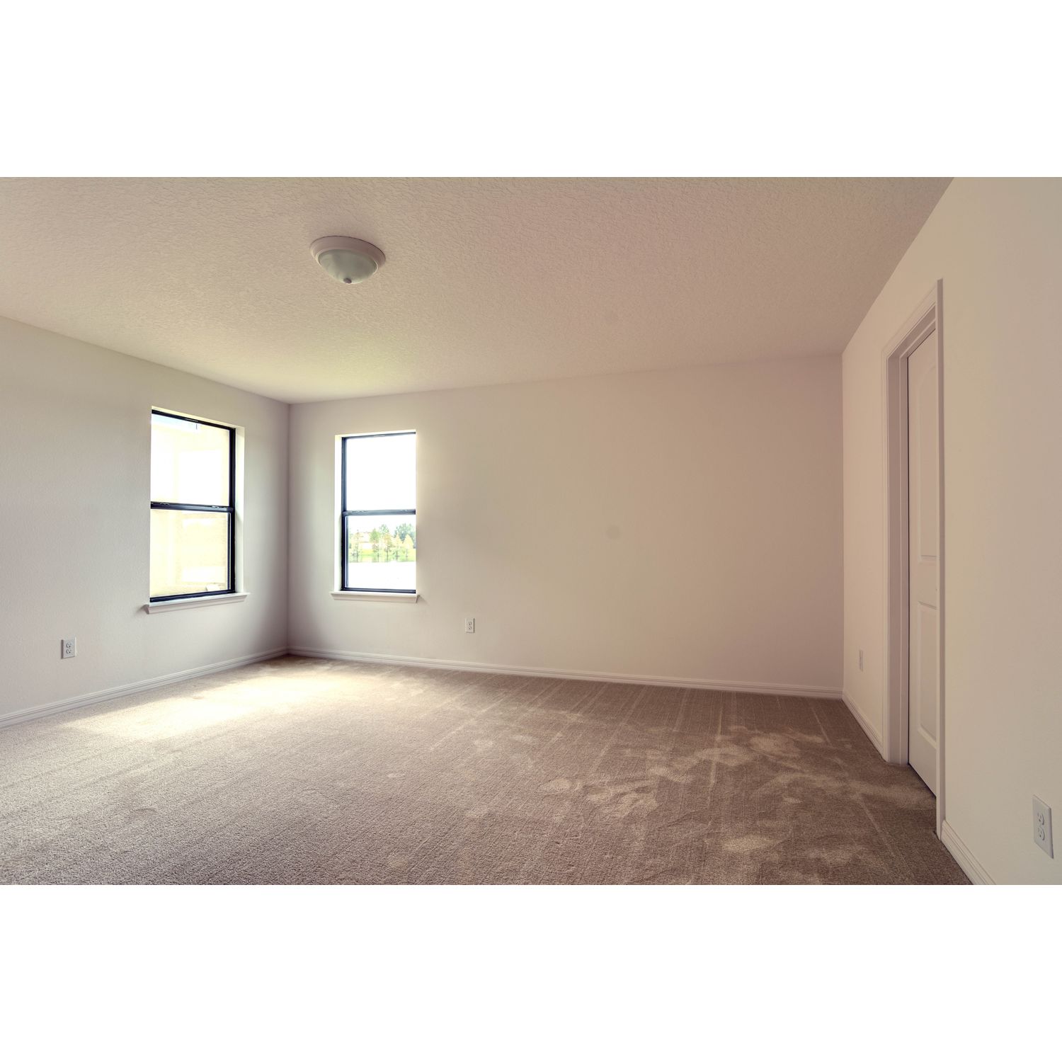 Photo of Marco II in Lakeland, FL 33805