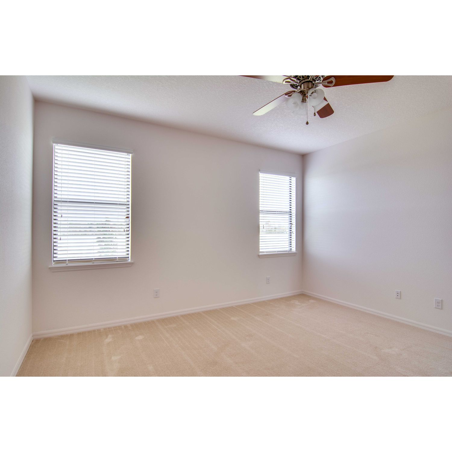 Photo of Venice in Lakeland, FL 33805