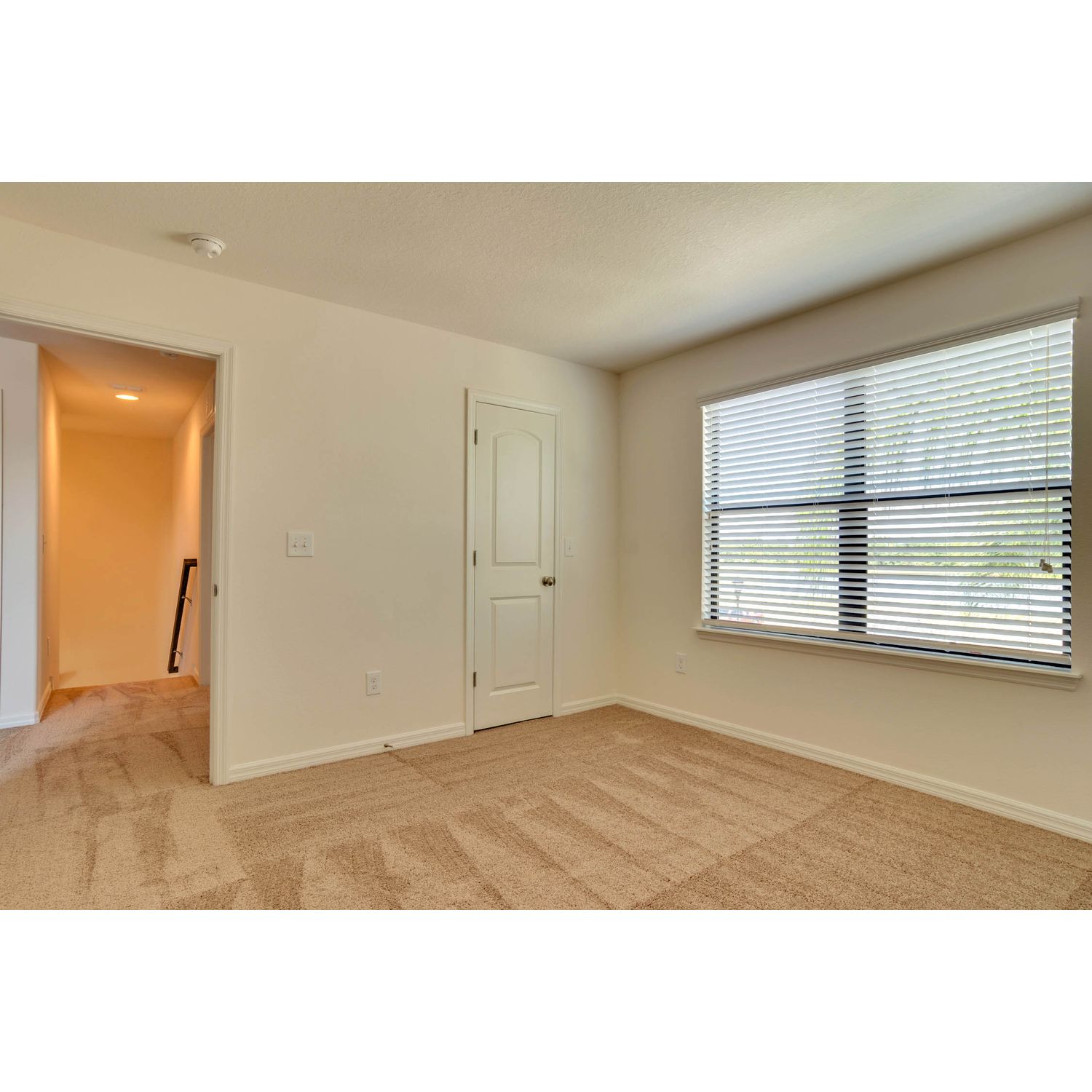 Photo of Cypress in Riverview, FL 33579