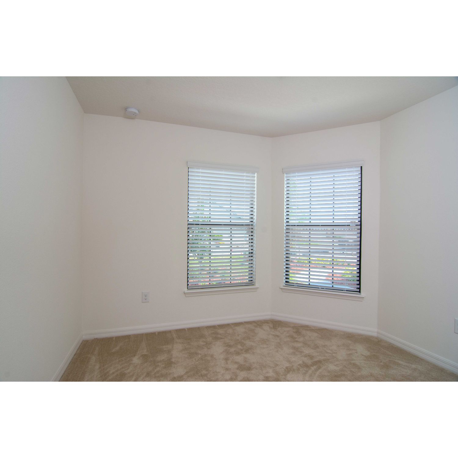 Photo of Boca Grande in Lakeland, FL 33805