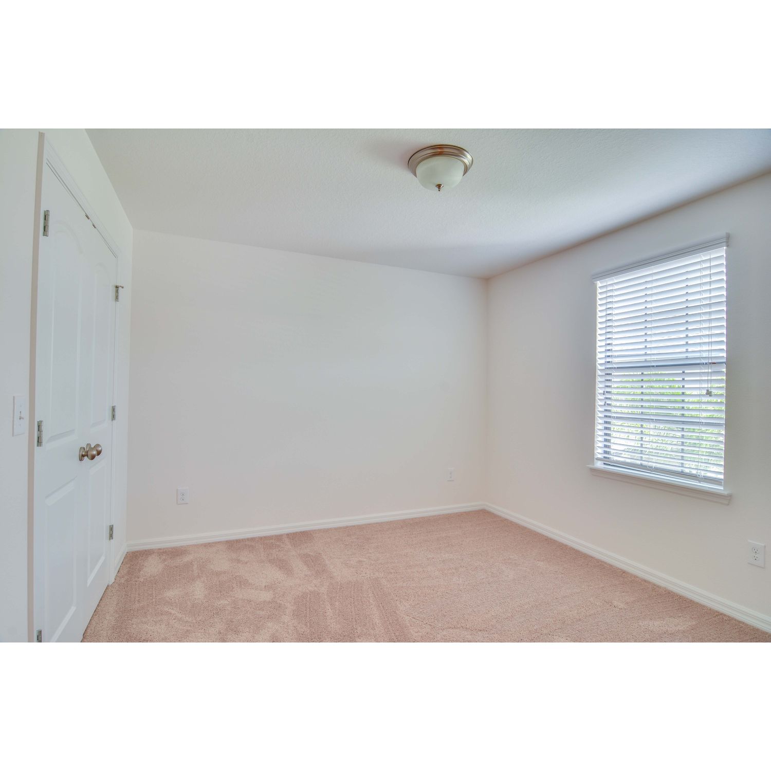Photo of Palm Beach in Riverview, FL 33579