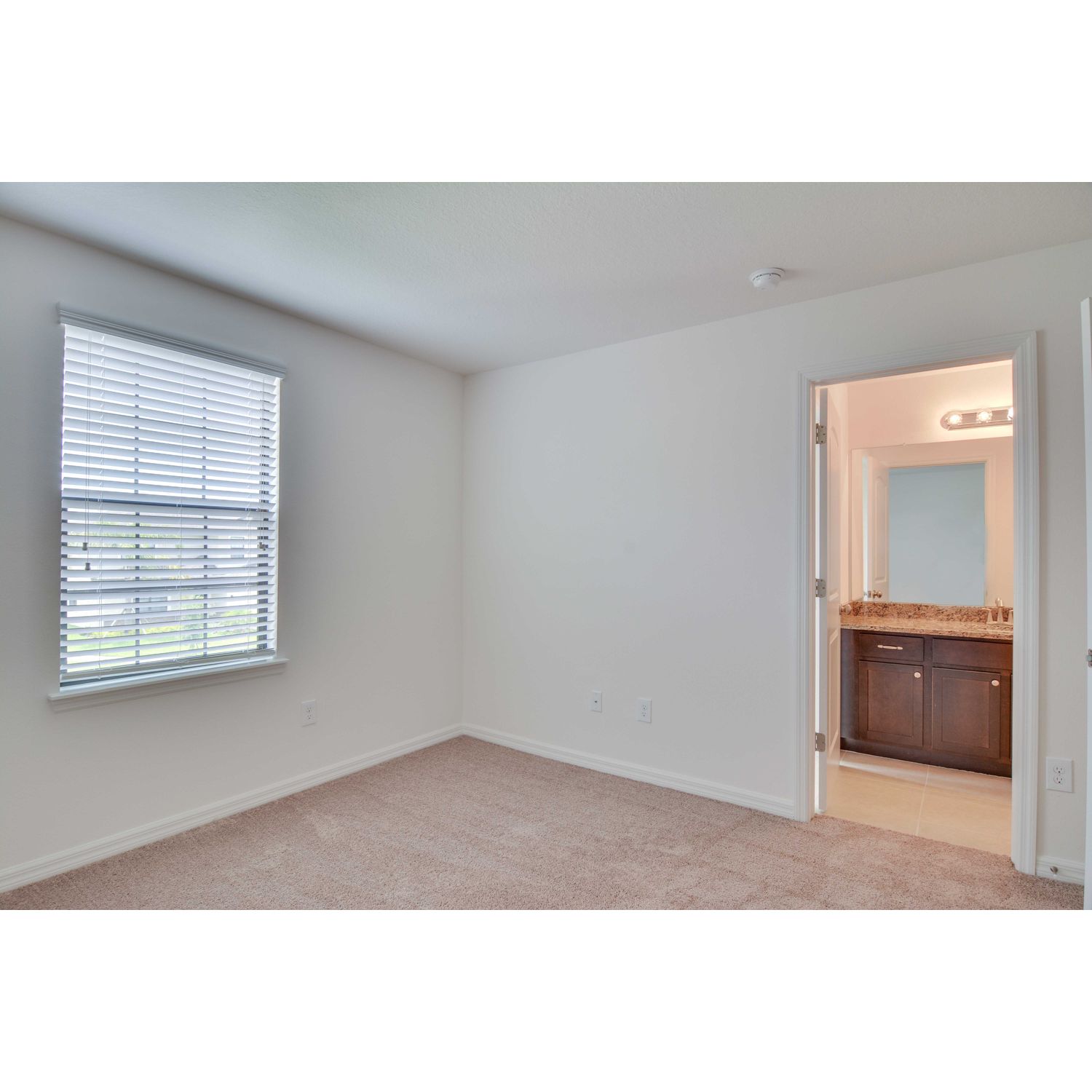 Photo of Palm Beach in Riverview, FL 33579