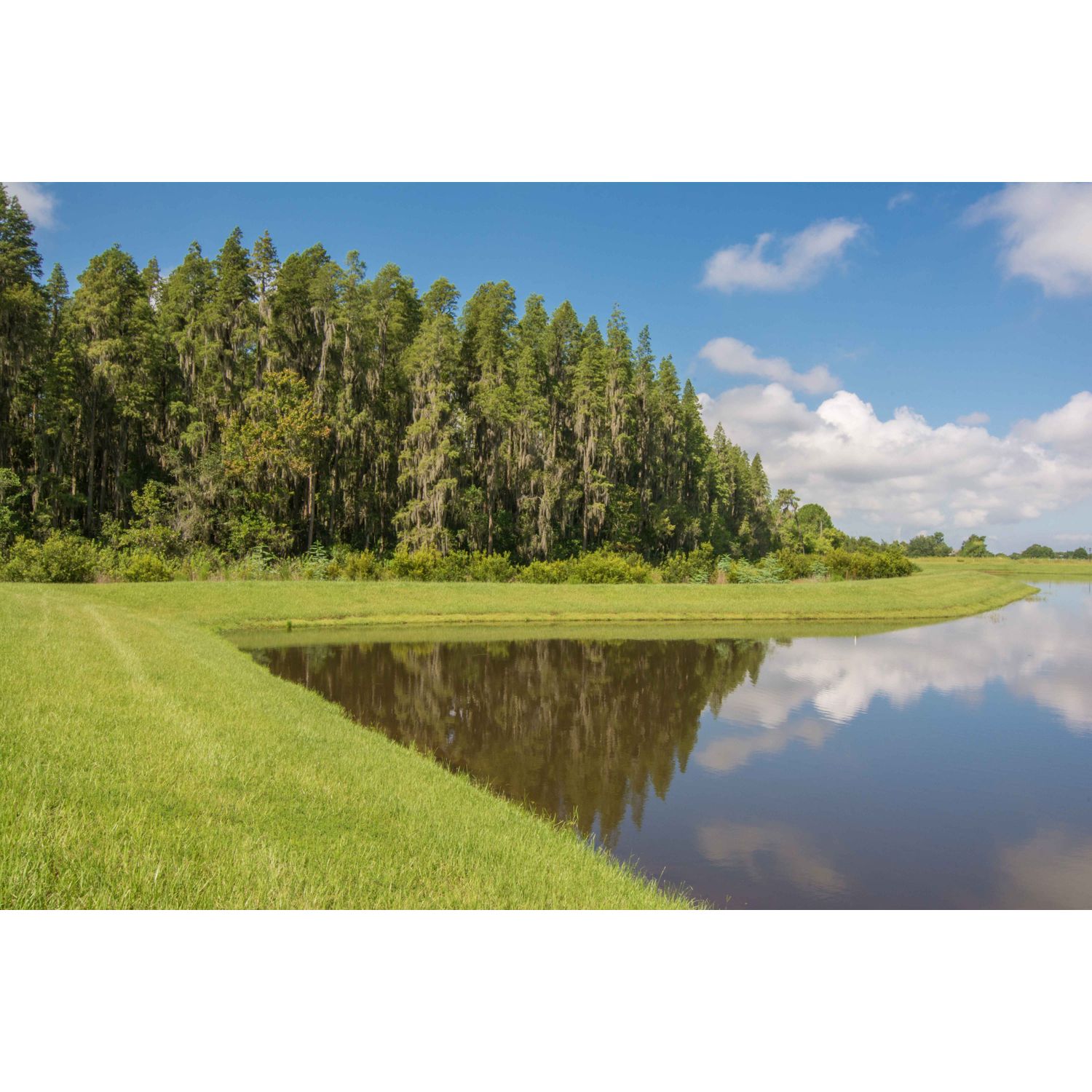 Photo of Ballentrae in Riverview, FL 33579
