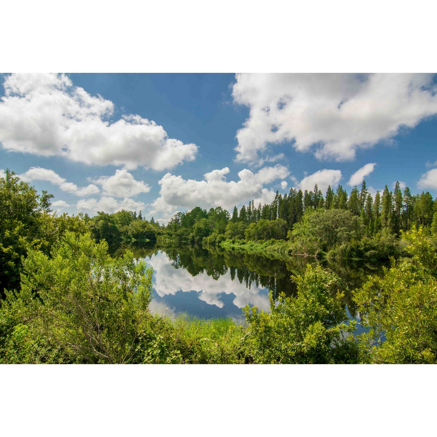 Photo of Ballentrae in Riverview, FL 33579