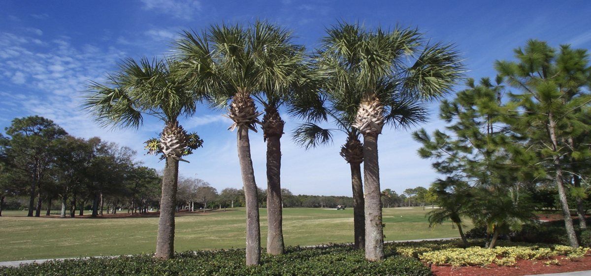 Photo of Providence - Lakeside in Davenport, FL 33837