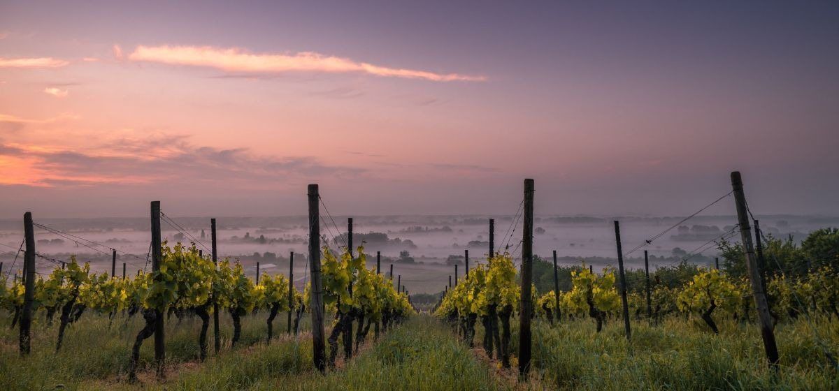 Photo of Toscano at Terracina in Temecula, CA 92592