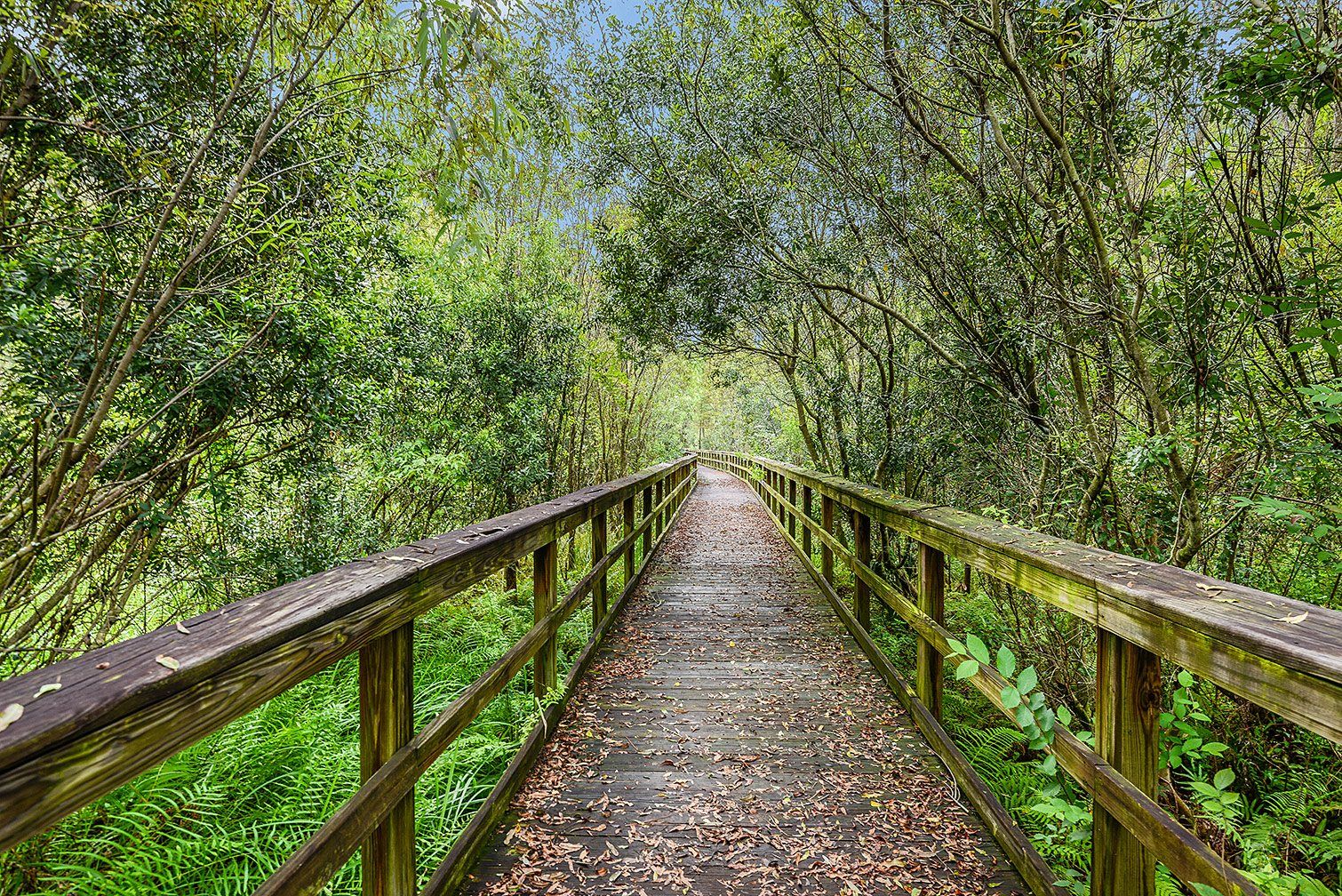 Photo of Meridian at Meadow Pointe in Wesley Chapel, FL 33543