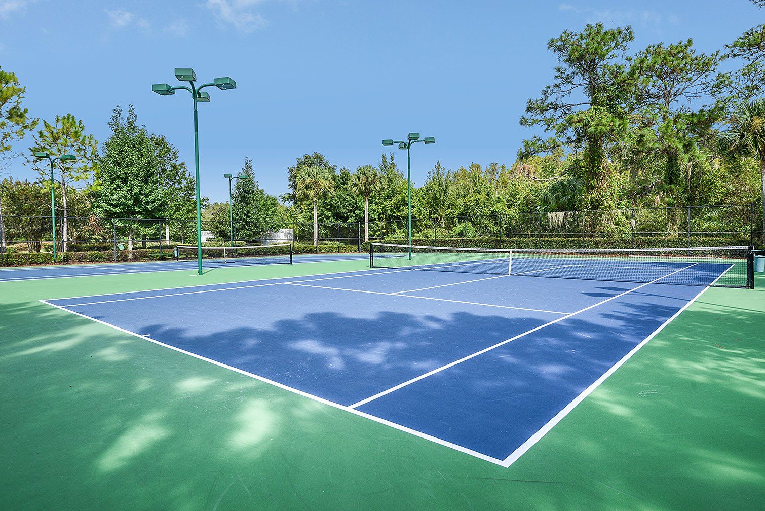 Photo of Meridian at Meadow Pointe in Wesley Chapel, FL 33543